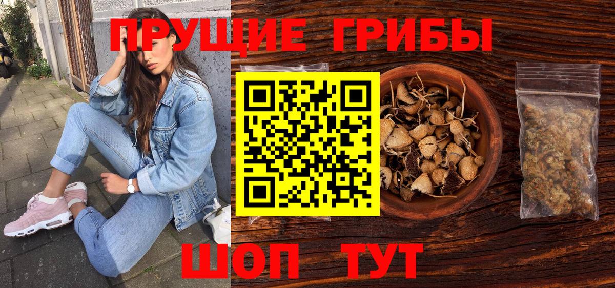 Прохладный  Галлюциногенные грибы мухоморы  где можно купить наркотик  Вход с VPN 