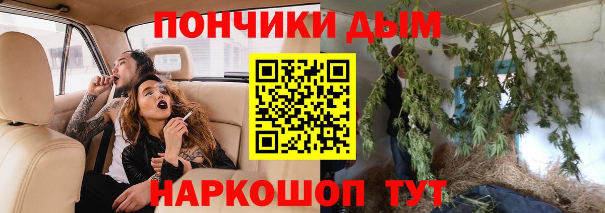 Прохладный  Канабис индика  Бошки Шишки семена  Каннабис Ganja  Бошки марихуана гибрид  Вход с VPN 